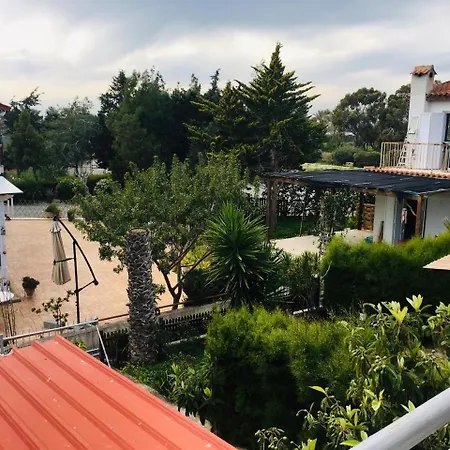 Spyros Seaside H.20
